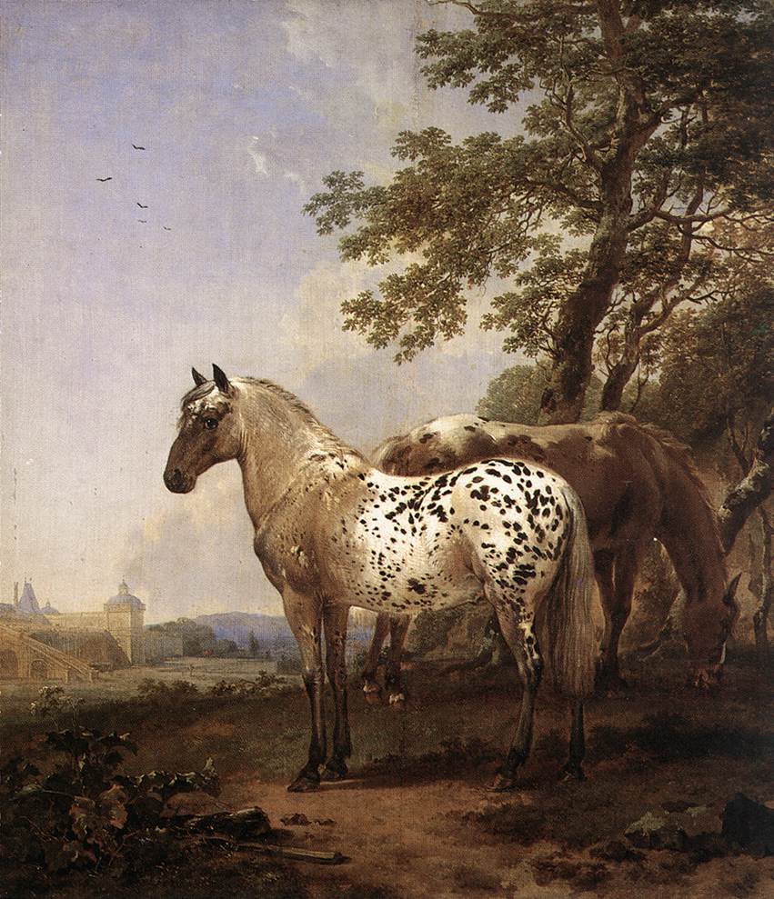 BERCHEM, Nicolaes Landscape with Two Horses
